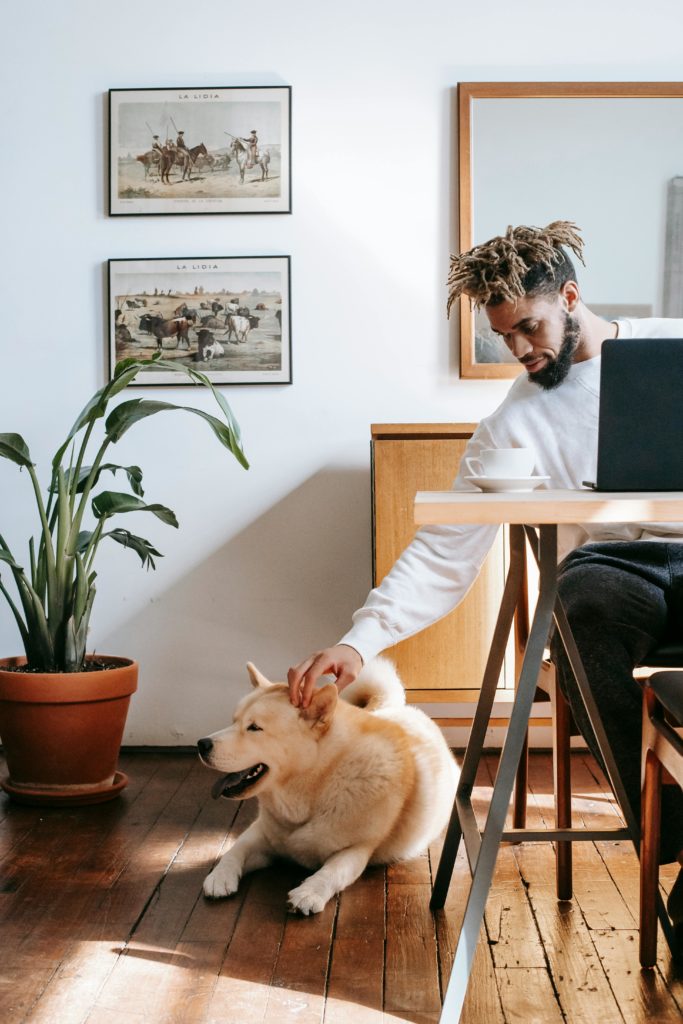 Photo by Zen Chung: https://www.pexels.com/photo/trendy-african-american-man-stroking-dog-while-working-on-netbook-at-home-5749080/